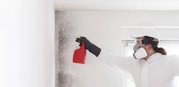 Best Mold Testing  in Berlin, OH