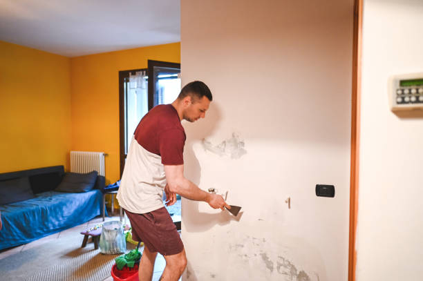 Best Attic Mold Removal  in Berlin, OH